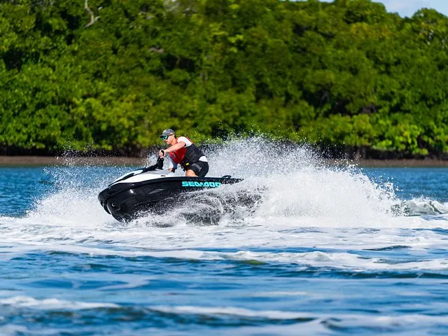 Person riding a personal watercraft on the water with mangroves in the background.
