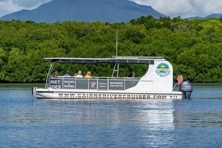 River cruise boat with passengers passing by green mangroves and distant mountains.