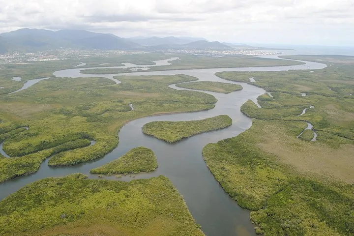 Aerial view of Trinity Inlet with green mangroves and winding waterways
